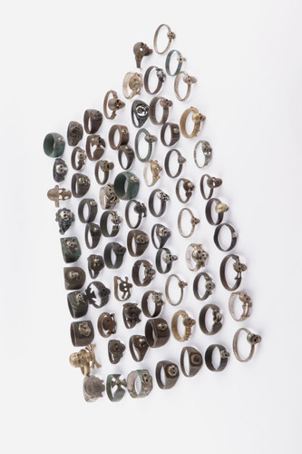 Collection pcs skull bones - collection,